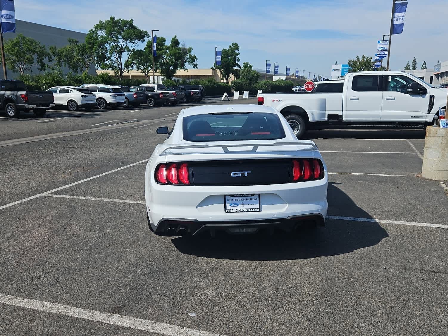 Used 2019 Ford Mustang GT Premium image 5