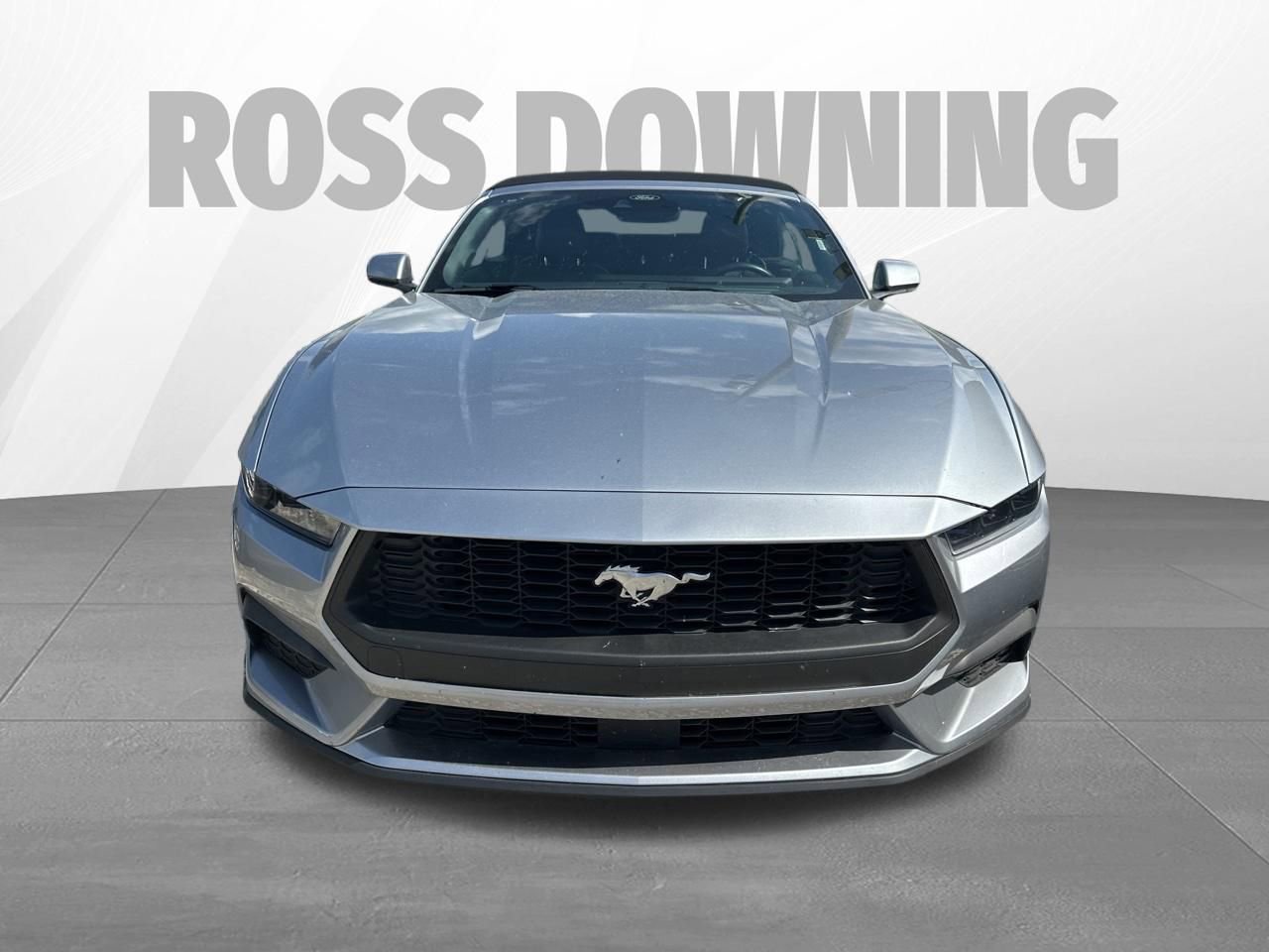 Used 2025 Ford Mustang Premium RWD image 2