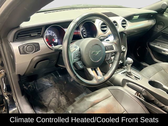 Used 2019 Ford Mustang GT Premium image 22