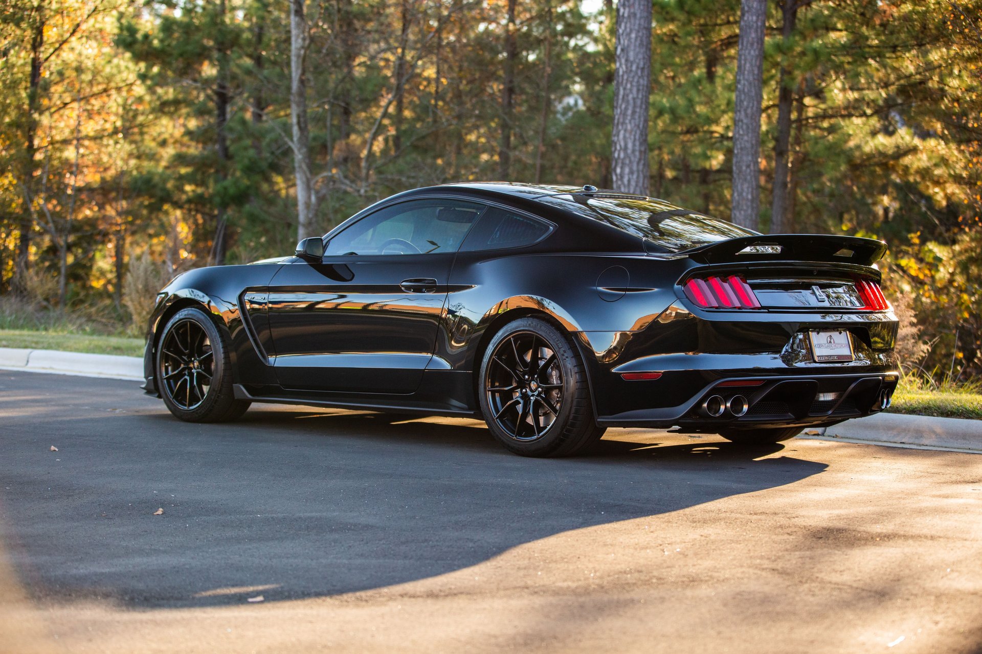 Used 2019 Ford Mustang Shelby GT350 w/ Technology Package image 13