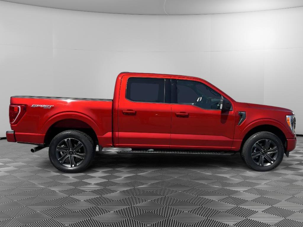 Used 2023 Ford F150 XLT w/ Equipment Group 302A High AWD/4WD image 6