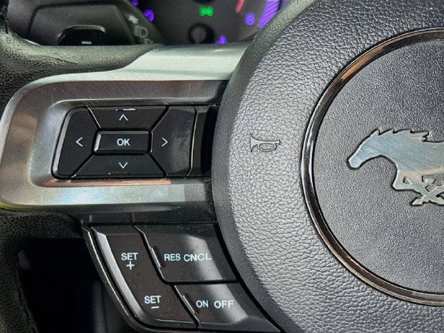 Used 2017 Ford Mustang Premium RWD image 11