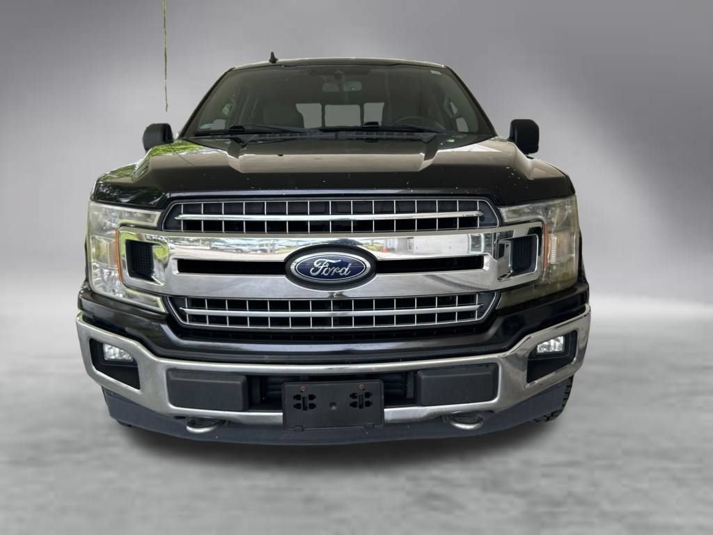 Used 2019 Ford F150 XLT w/ Equipment Group 302A Luxury AWD/4WD image 13