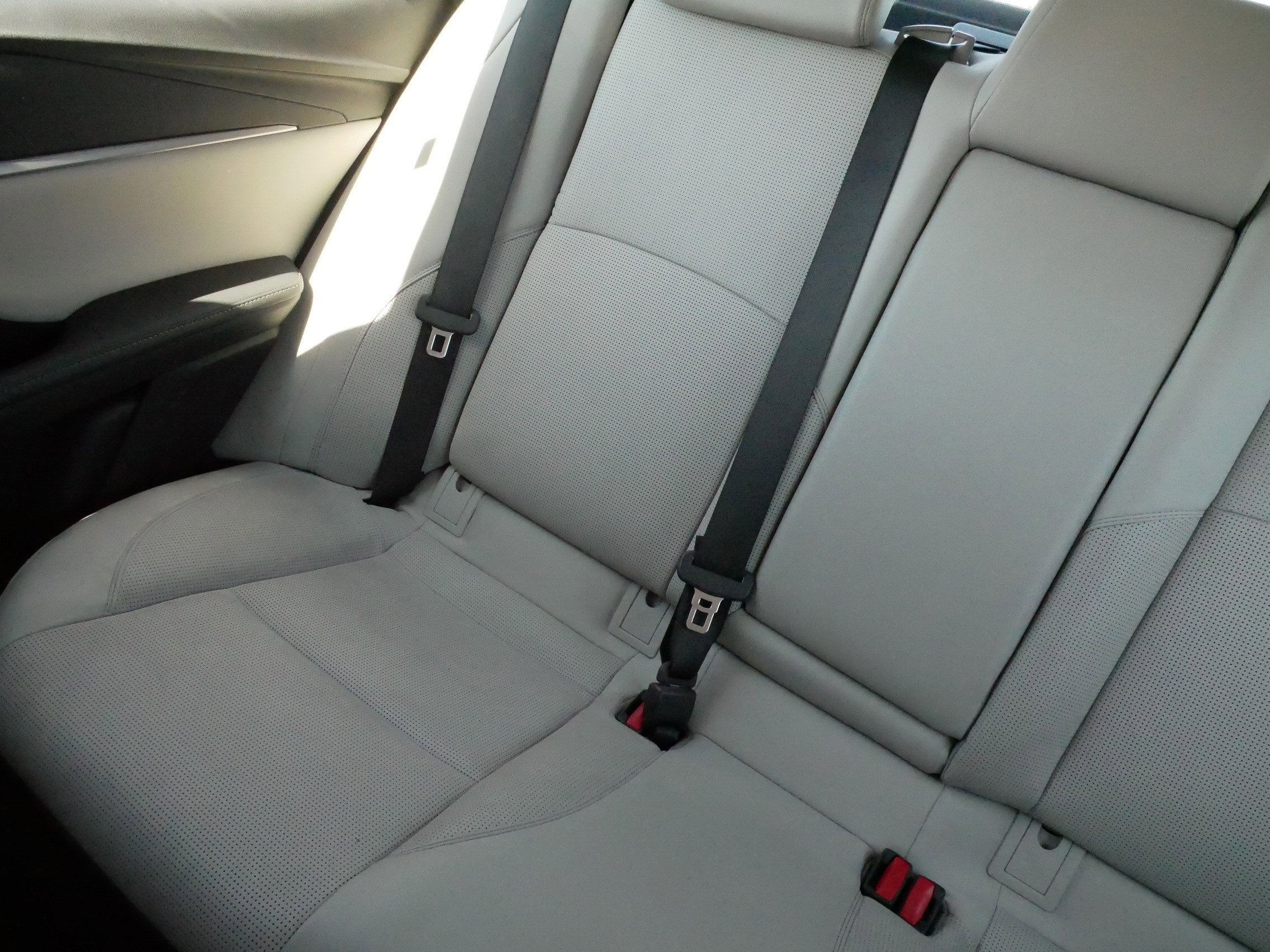 Certified 2025 Toyota Camry XLE AWD/4WD image 12