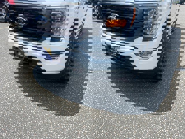 Certified 2023 Ford F150 XLT w/ Equipment Group 302A High image 31