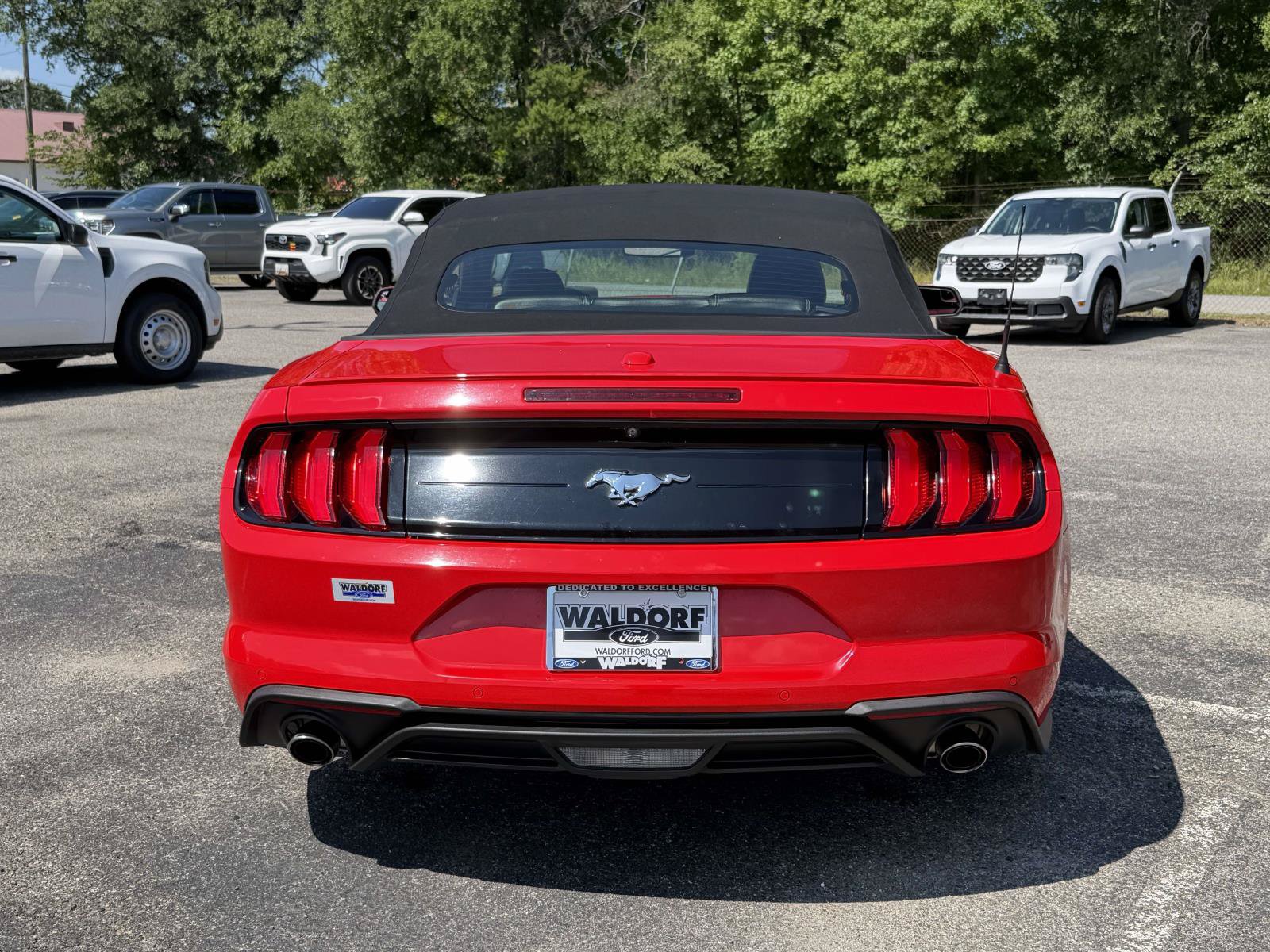 Used 2020 Ford Mustang Premium RWD image 3