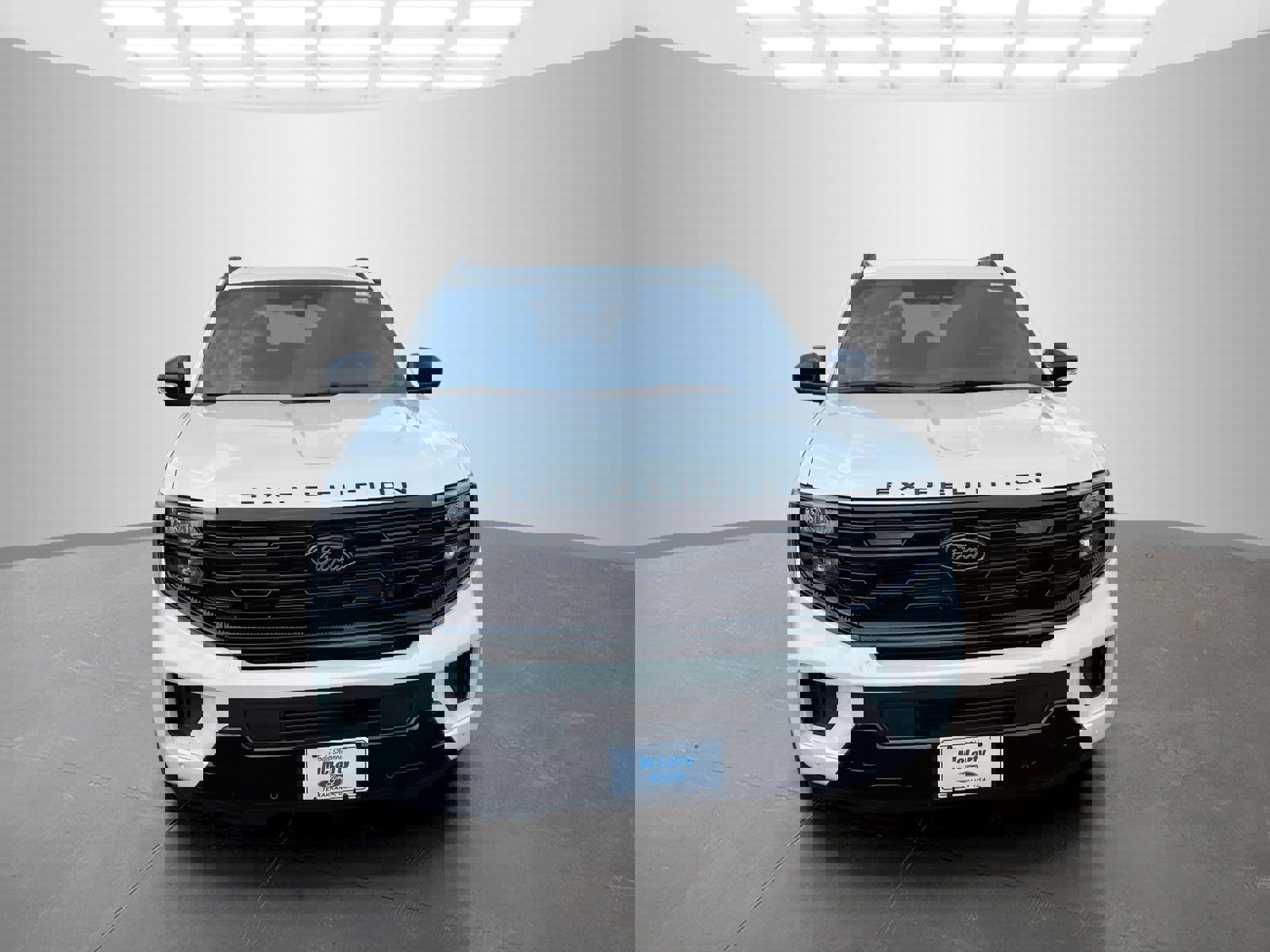 New 2025 Ford Expedition Platinum image 2