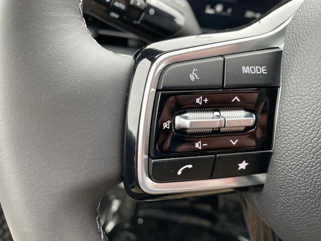 New 2026 Kia Carnival SX image 30