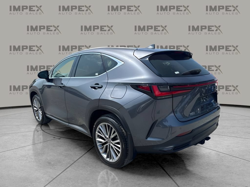 Used 2024 Lexus NX 350h AWD w/ Vision Package image 2