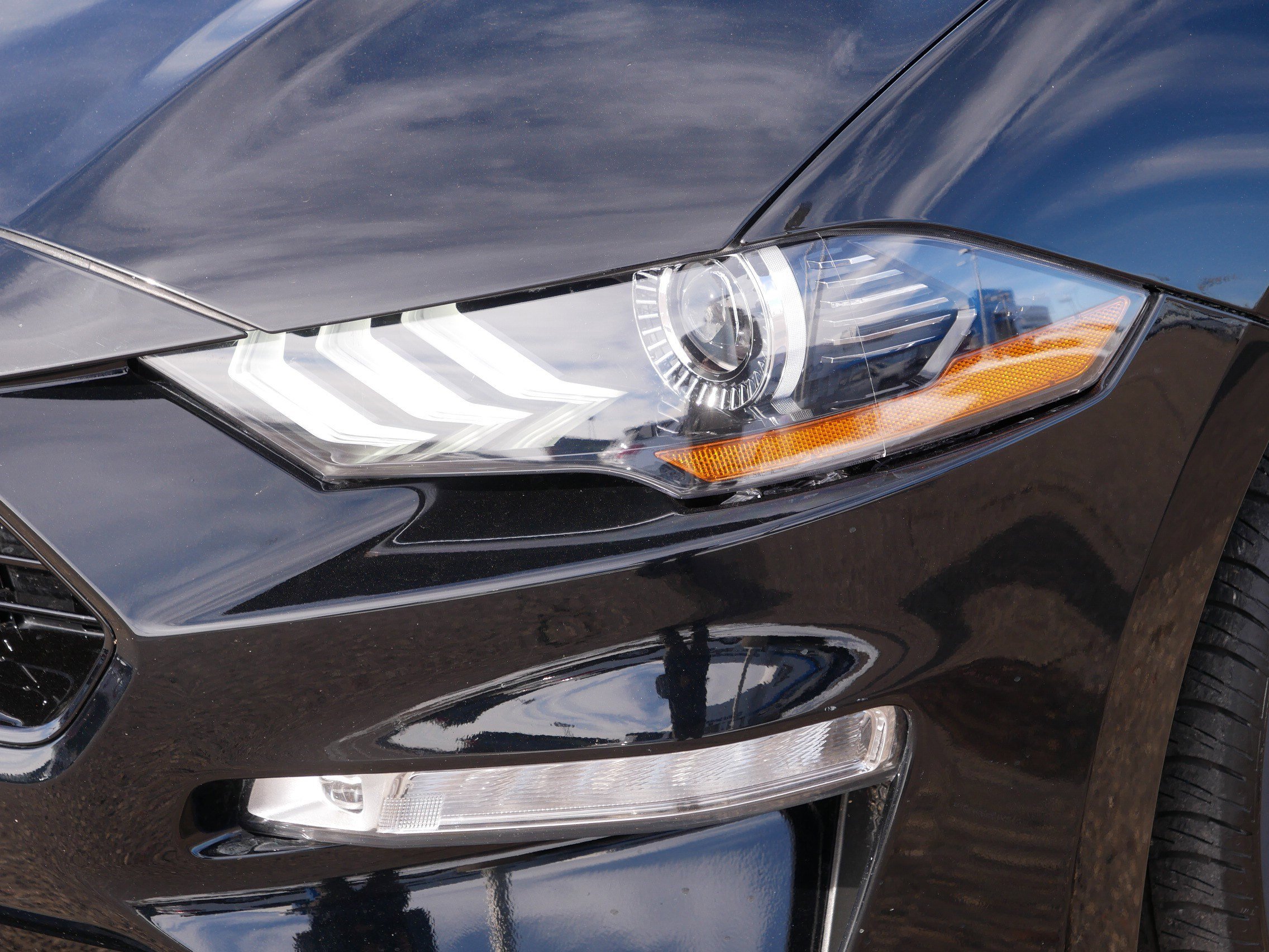 Used 2019 Ford Mustang GT Premium w/ Equipment Group 401A image 16