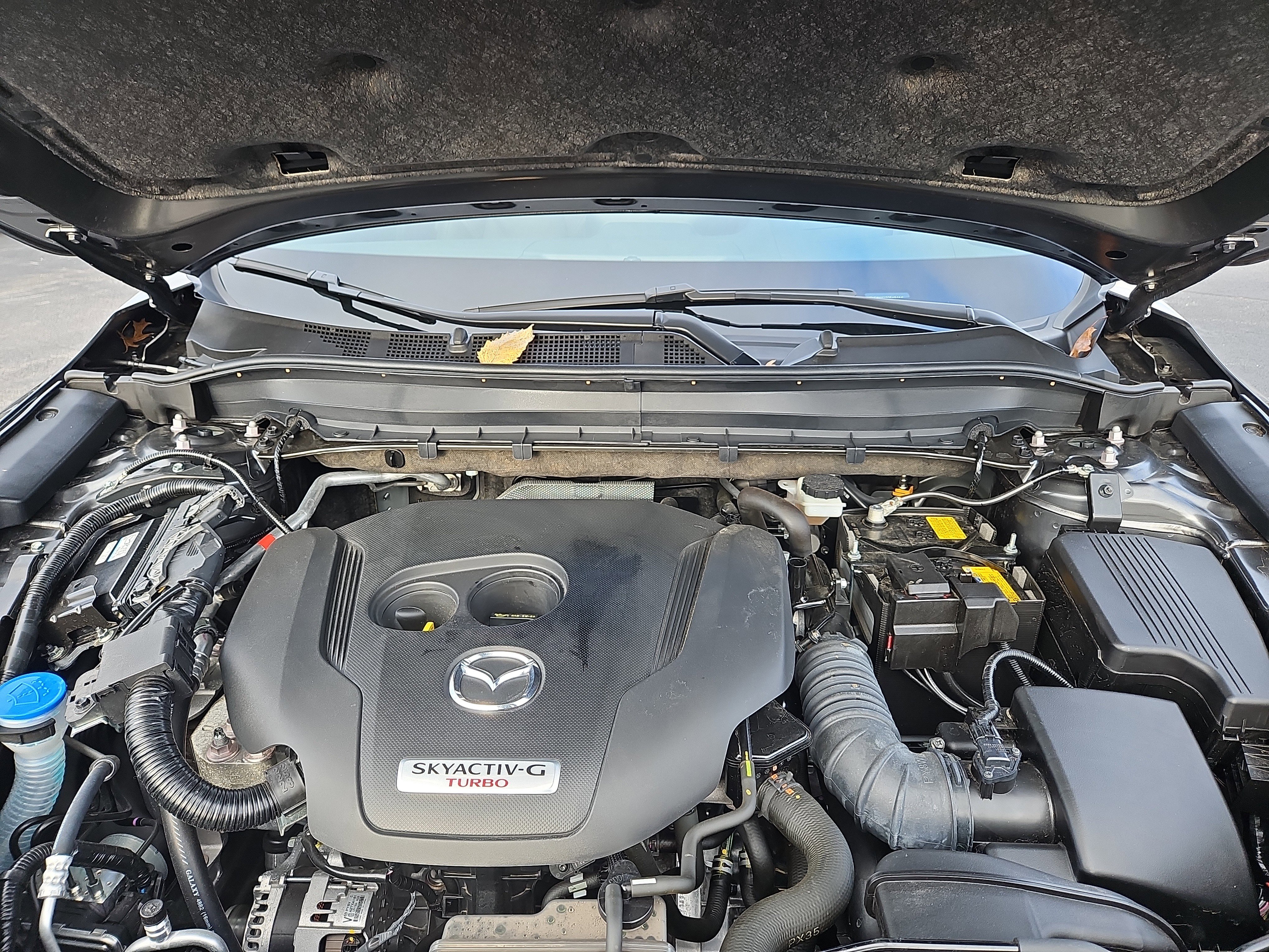 Certified 2025 MAZDA CX-5 Signature image 35