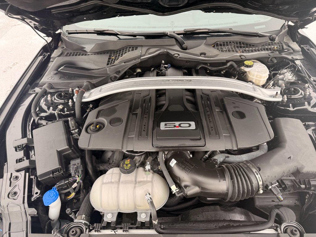 Used 2023 Ford Mustang GT w/ Equipment Group 301A image 19