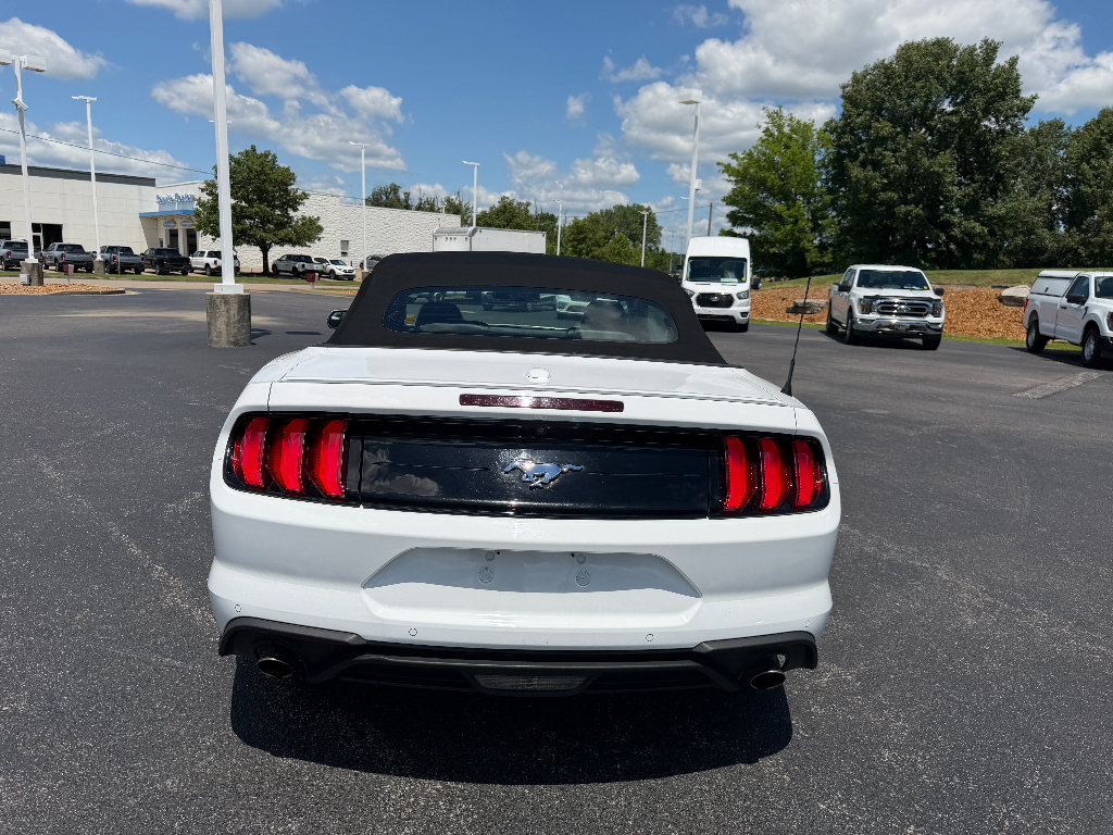 Used 2018 Ford Mustang Premium RWD image 14