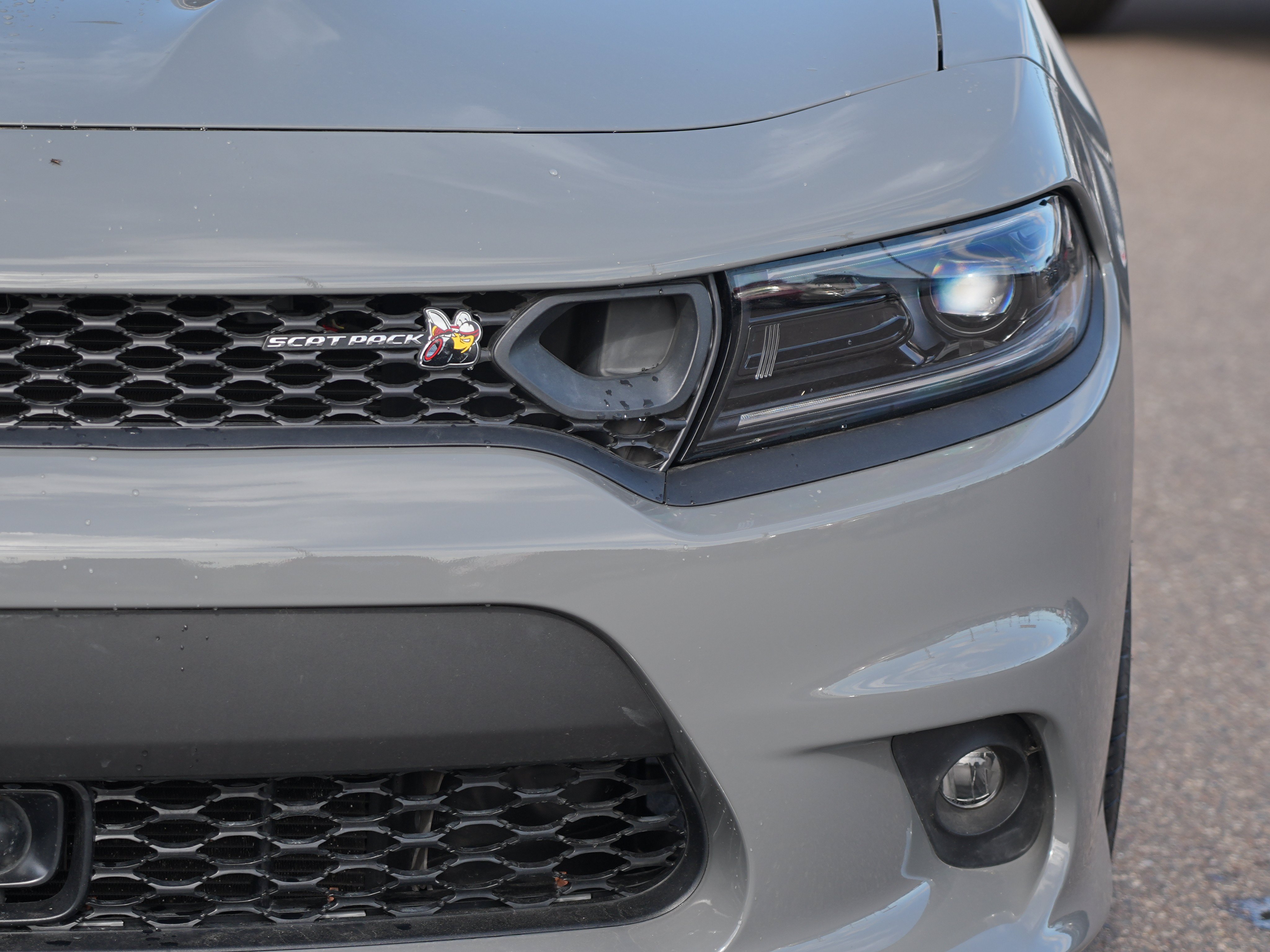 Used 2023 Dodge Charger Scat Pack w/ Technology Group RWD image 9