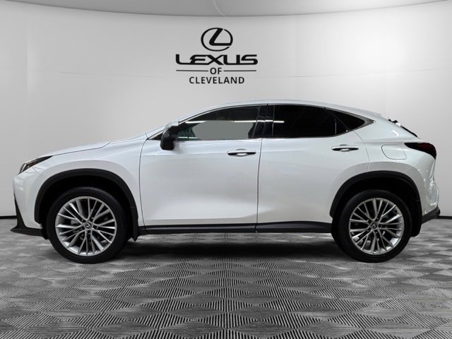 Used 2025 Lexus NX 350 AWD w/ Premium Package image 3