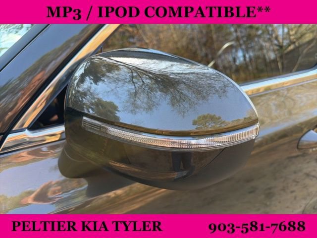 Used 2021 Kia Telluride EX w/ EX Premium Package image 6