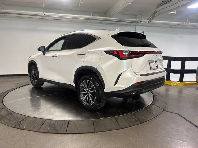 Certified 2024 Lexus NX 350 AWD w/ Cold Area Package image 6