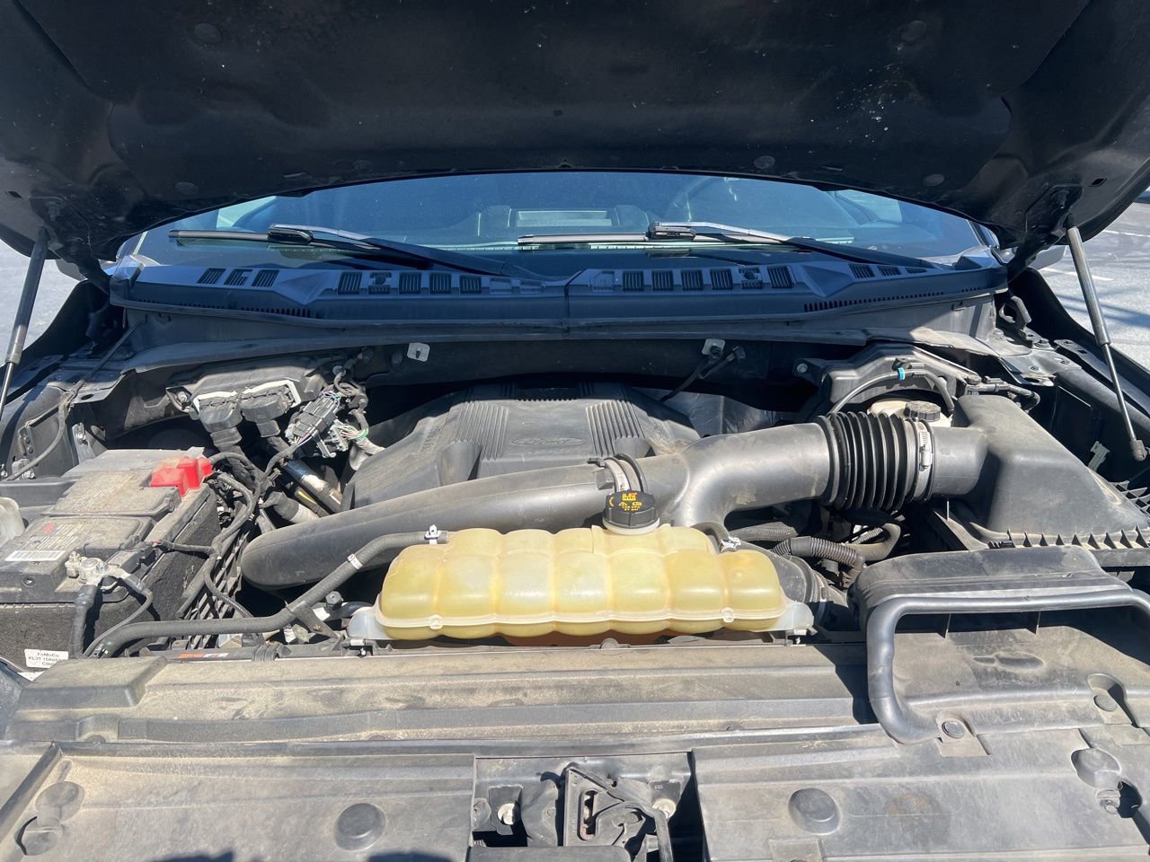 Used 2019 Ford F150 XLT w/ Equipment Group 302A Luxury AWD/4WD image 15