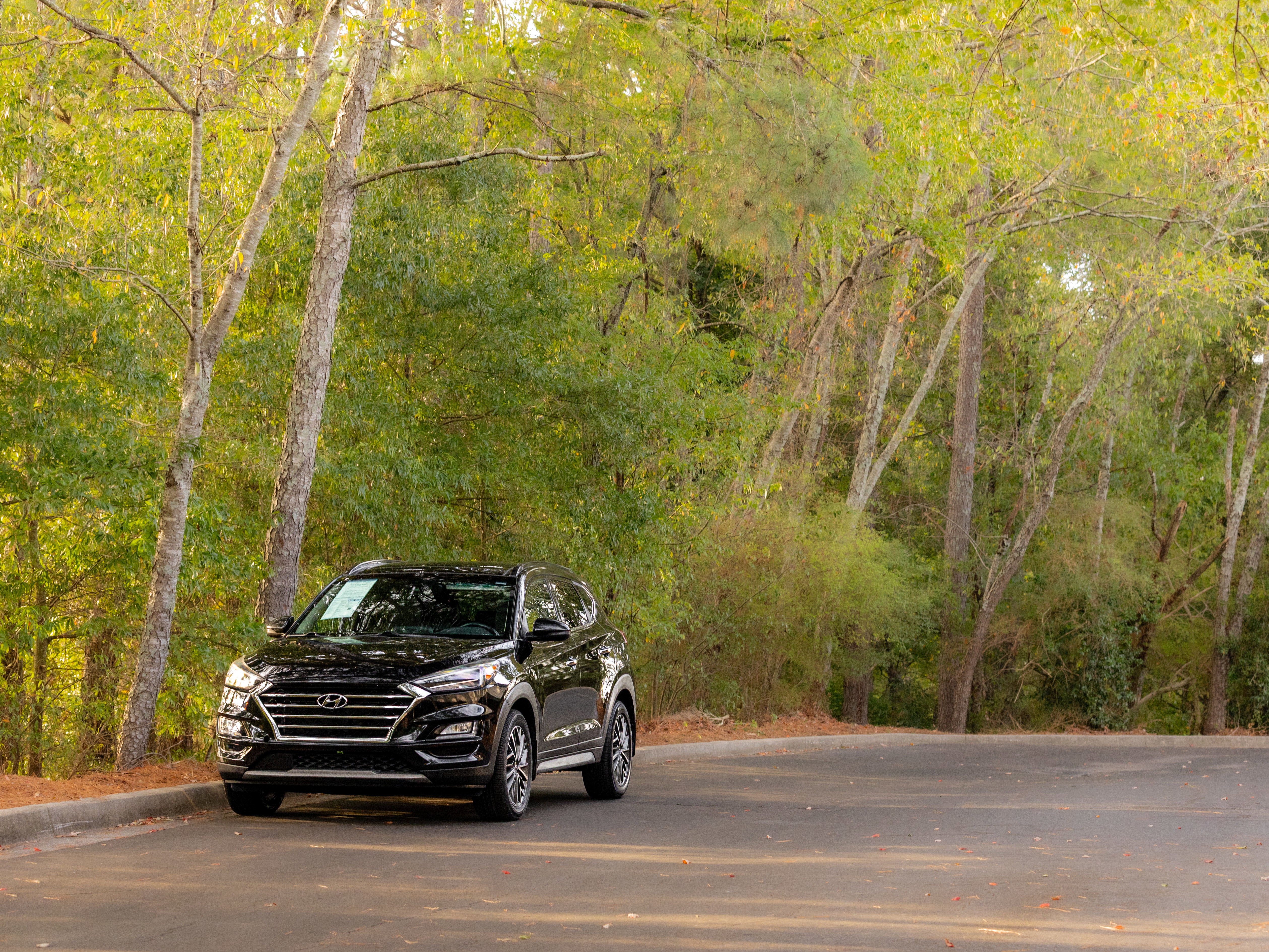 Used 2019 Hyundai Tucson Ultimate image 38