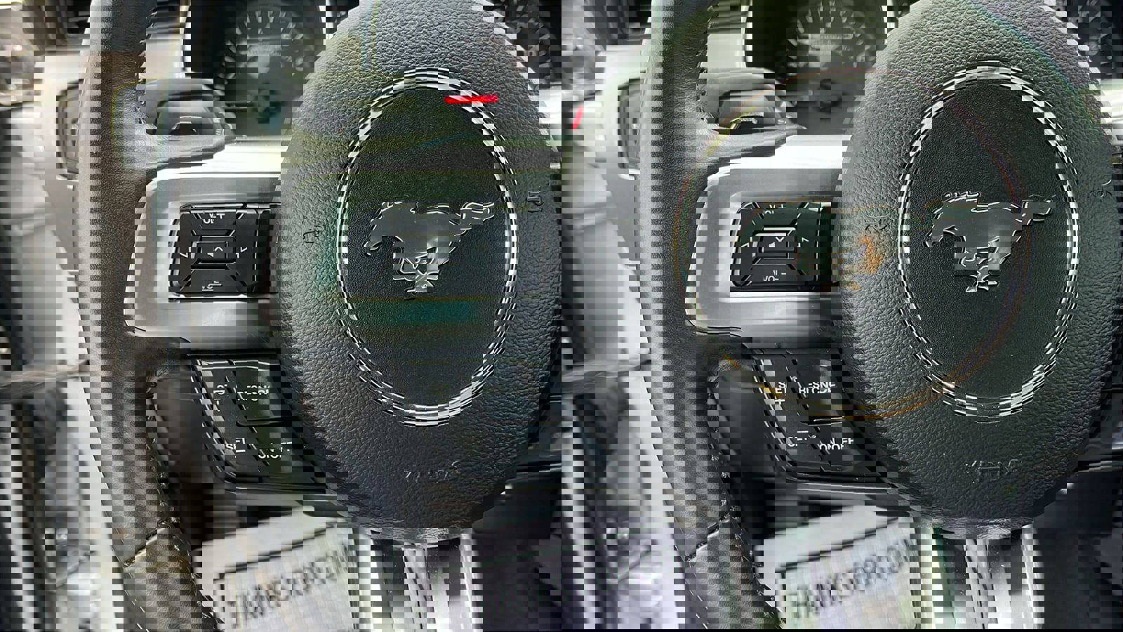 Used 2019 Ford Mustang GT Premium image 12