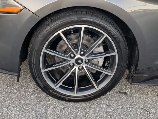 Certified 2019 Ford Mustang Premium w/ Equipment Group 201A image 4