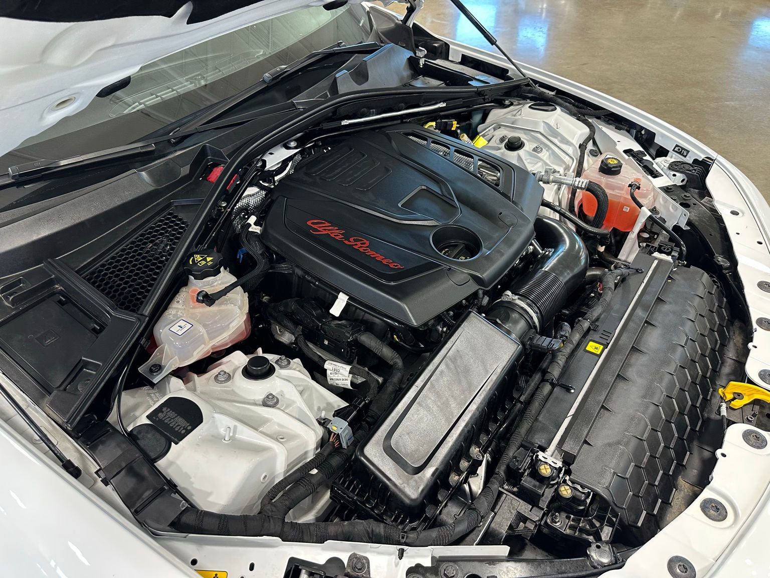 Used 2024 Alfa Romeo Giulia Veloce image 44