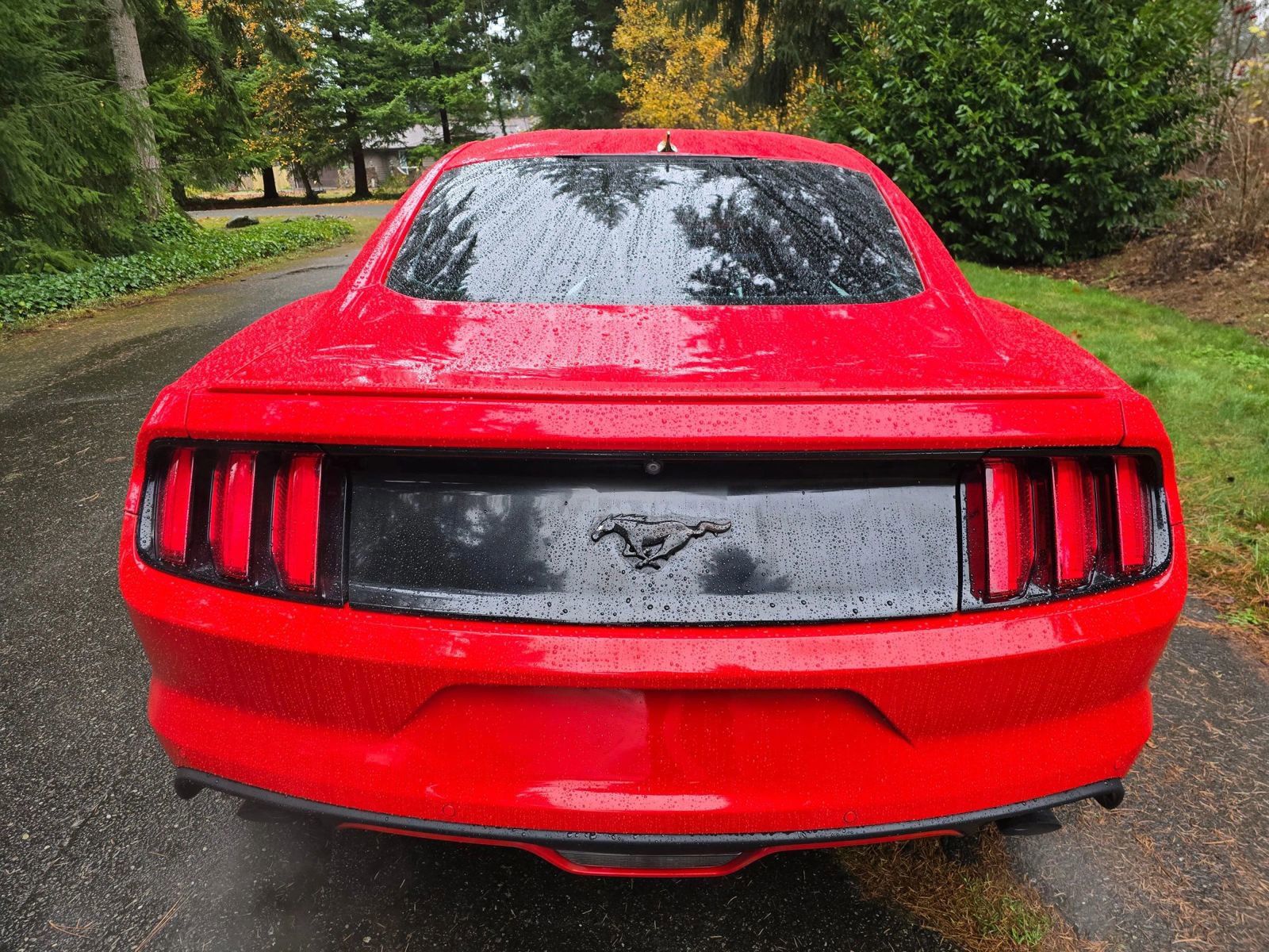 Used 2016 Ford Mustang Coupe image 4