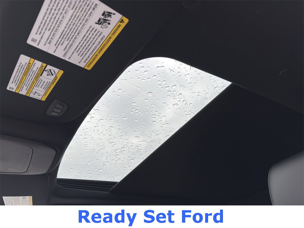 New 2025 Ford Expedition Tremor image 12