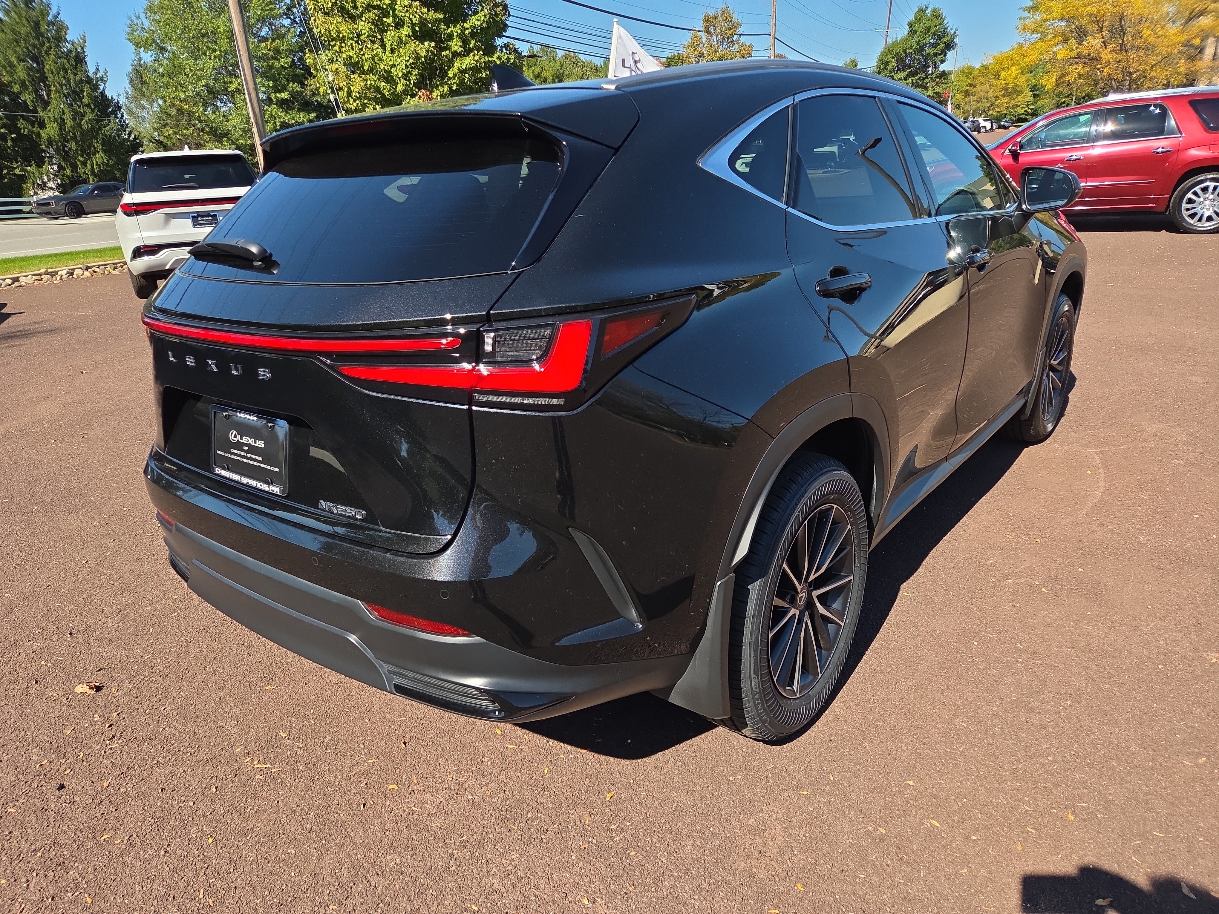 Certified 2024 Lexus NX 250 FWD image 3