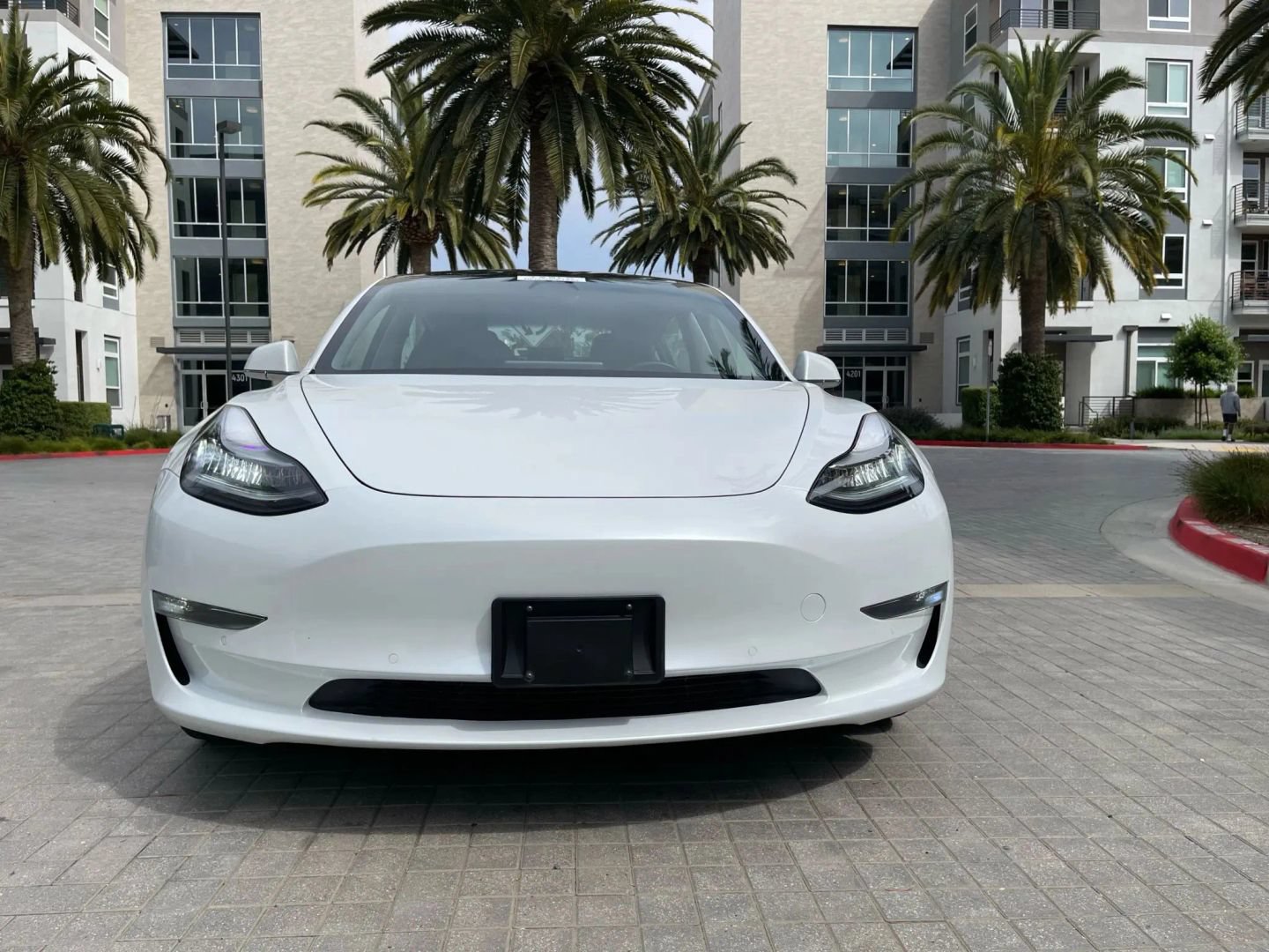 Used 2020 Tesla Model 3 Standard Range Plus RWD image 5