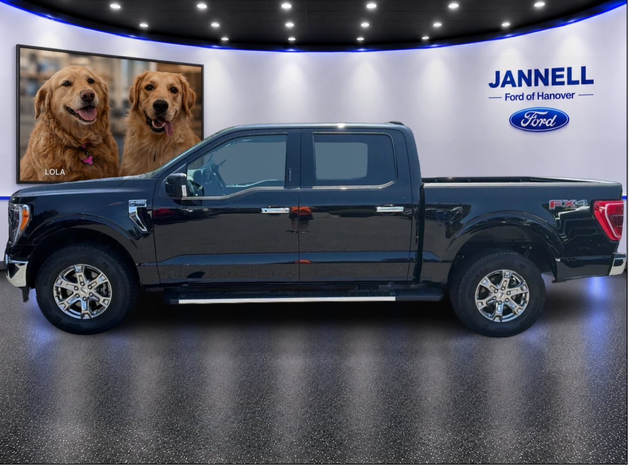 Used 2023 Ford F150 XLT w/ Equipment Group 302A High AWD/4WD image 9