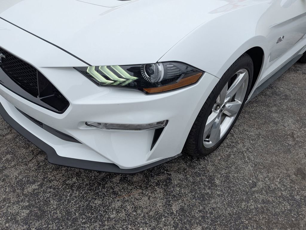 Used 2019 Ford Mustang GT Premium w/ Equipment Group 401A image 9