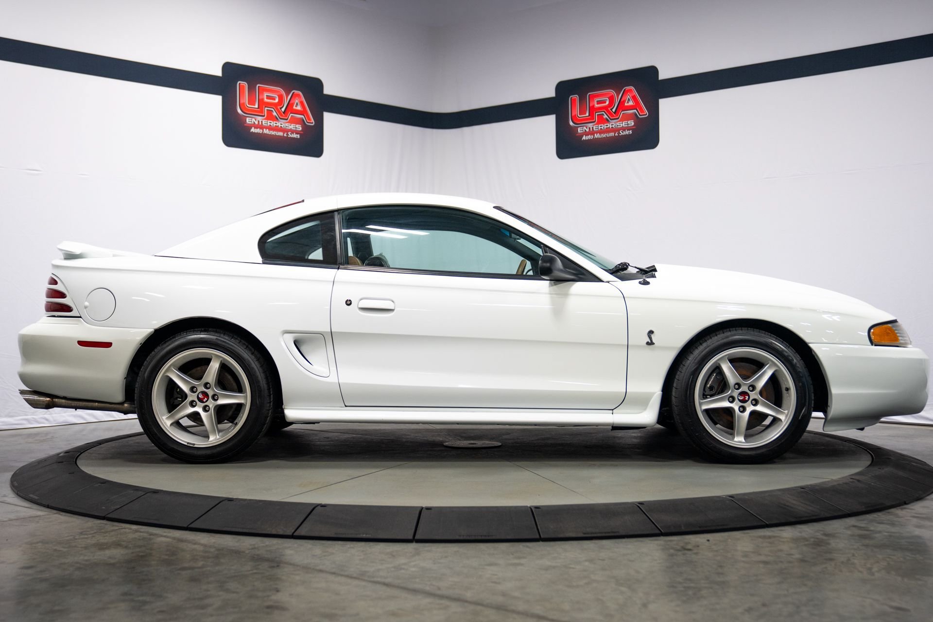 Used 1995 Ford Mustang Cobra R RWD image 5