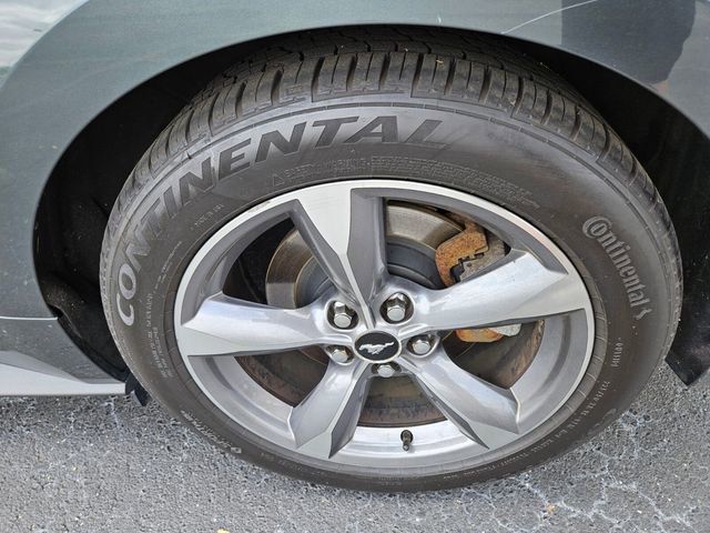 Used 2016 Ford Mustang Coupe w/ Equipment Group 051A image 13