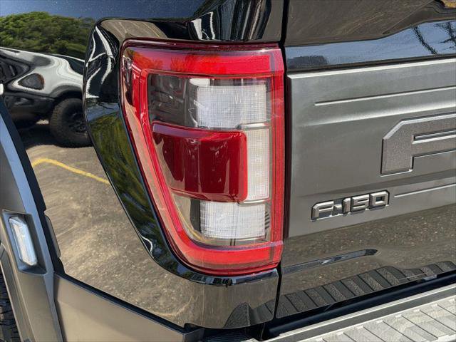 Used 2021 Ford F150 Raptor w/ Equipment Group 801A High AWD/4WD image 9