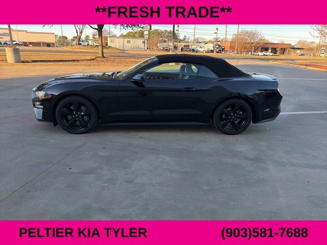 Used 2021 Ford Mustang GT Premium w/ Equipment Group 401A image 8