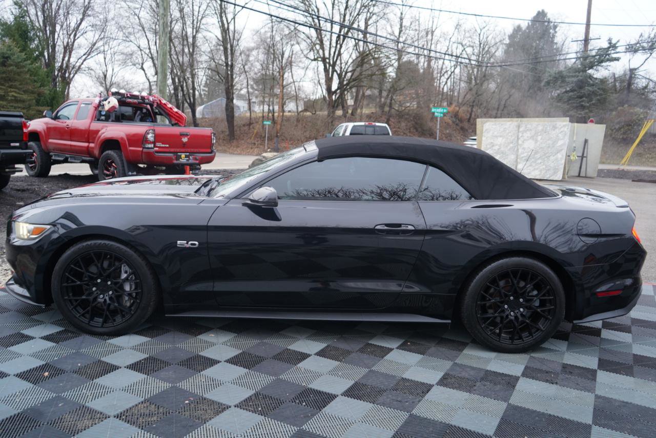 Used 2015 Ford Mustang GT Premium w/ Equipment Group 401A image 11