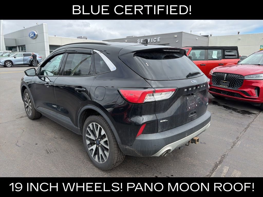 Used 2020 Ford Escape SEL image 5