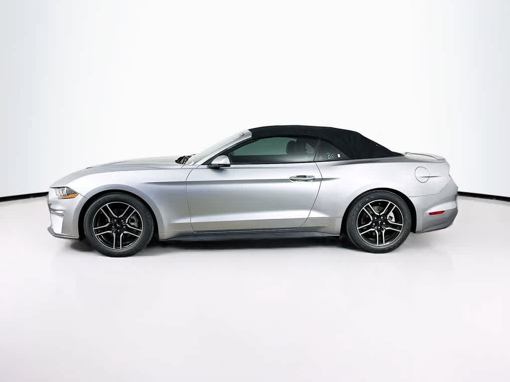 Used 2020 Ford Mustang Premium RWD image 3