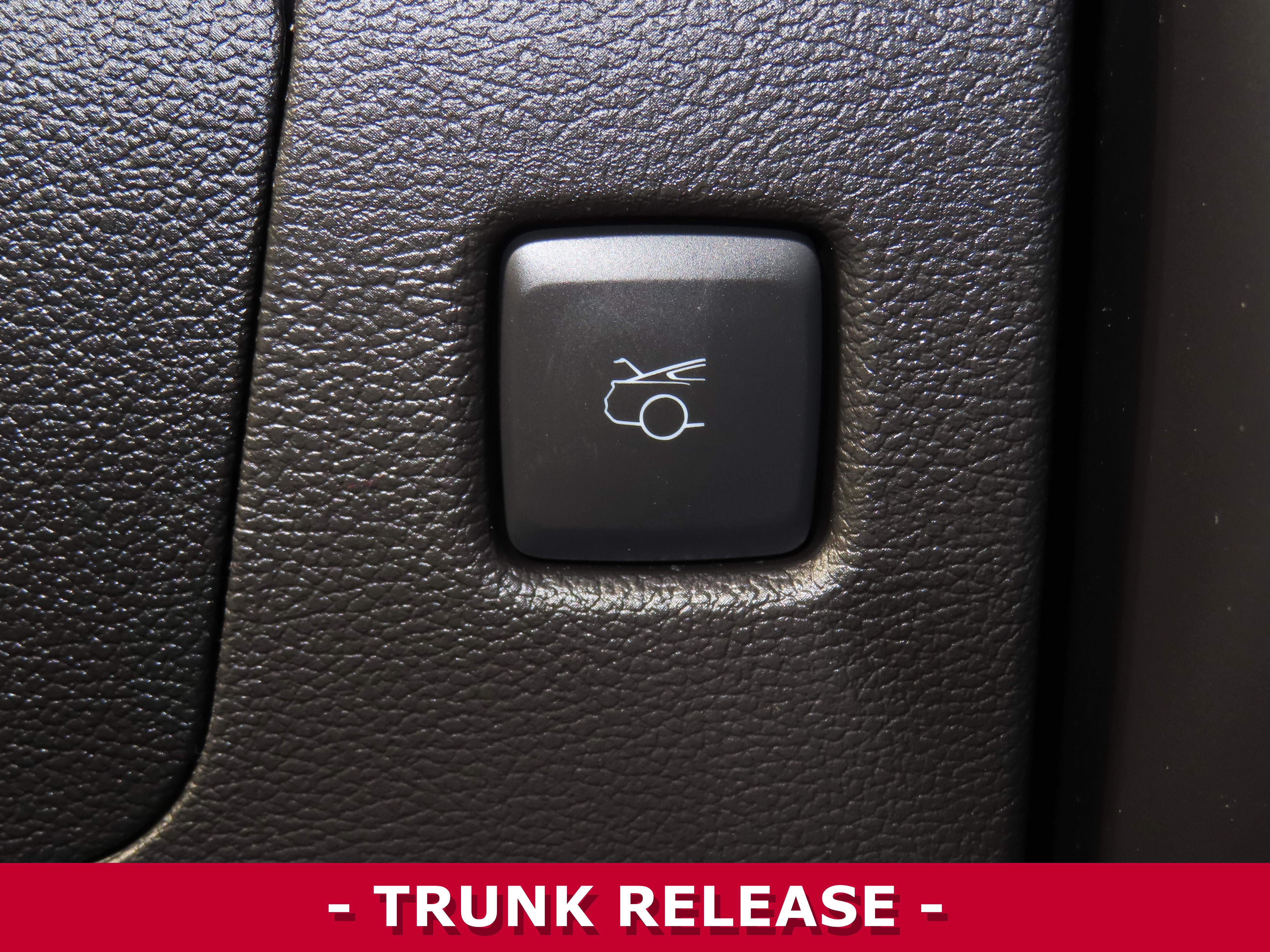 Used 2021 Ford Mustang GT w/ Equipment Group 301A image 24