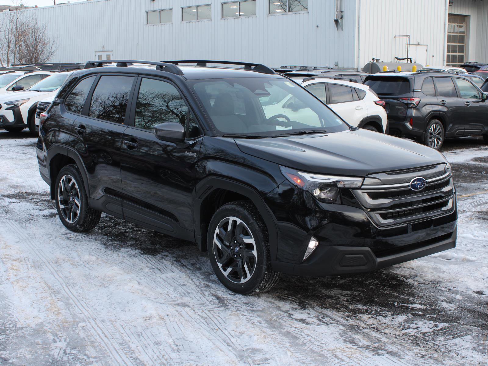 New 2025 Subaru Forester Premium image 3