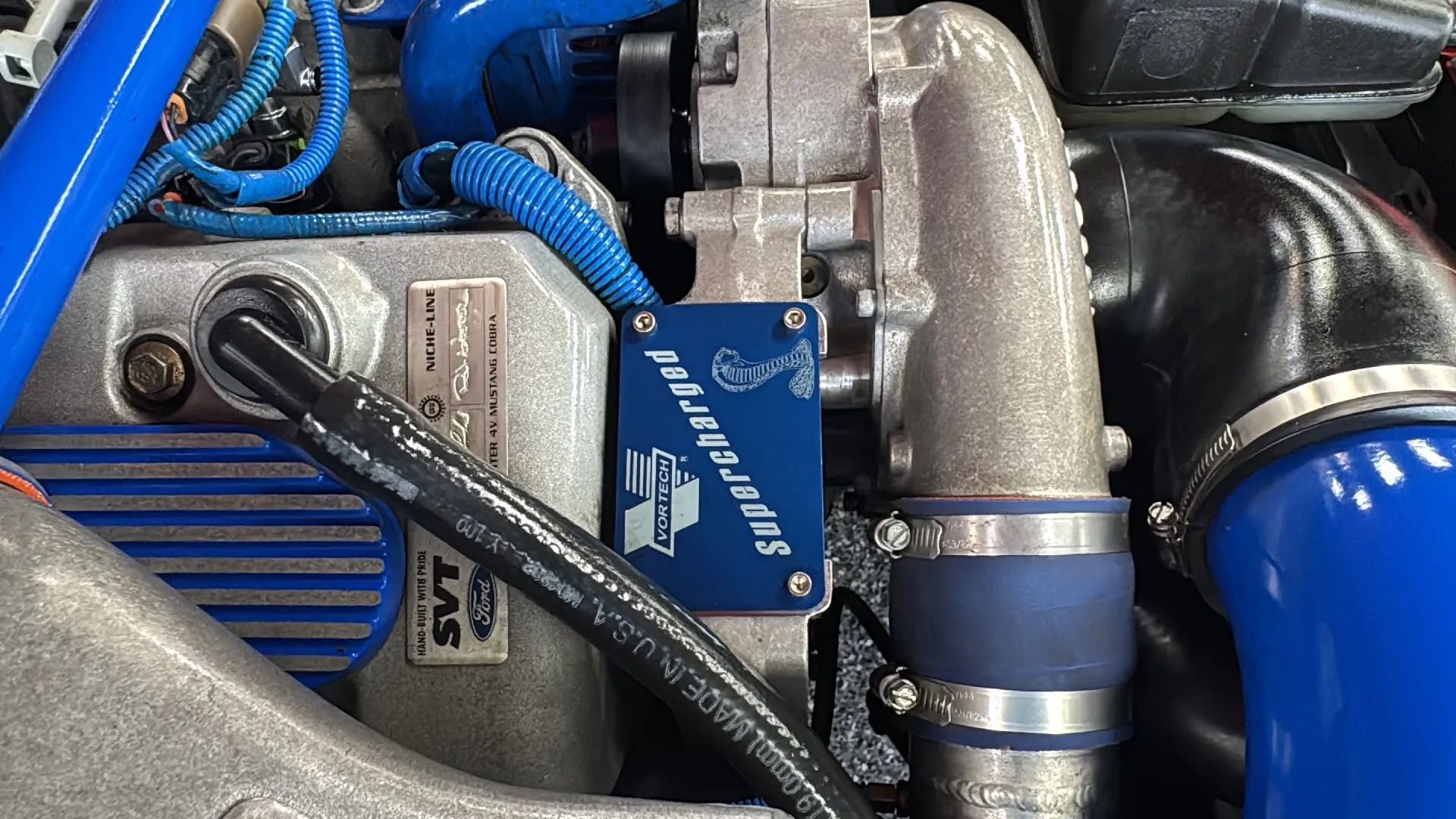 Used 1999 Ford Mustang Cobra RWD image 48