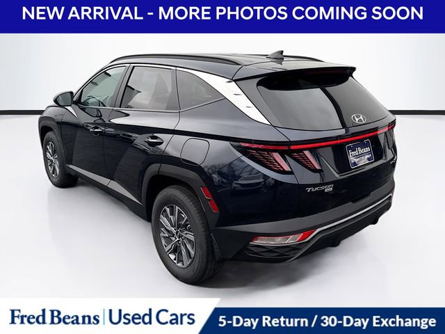 Used 2023 Hyundai Tucson Blue image 5
