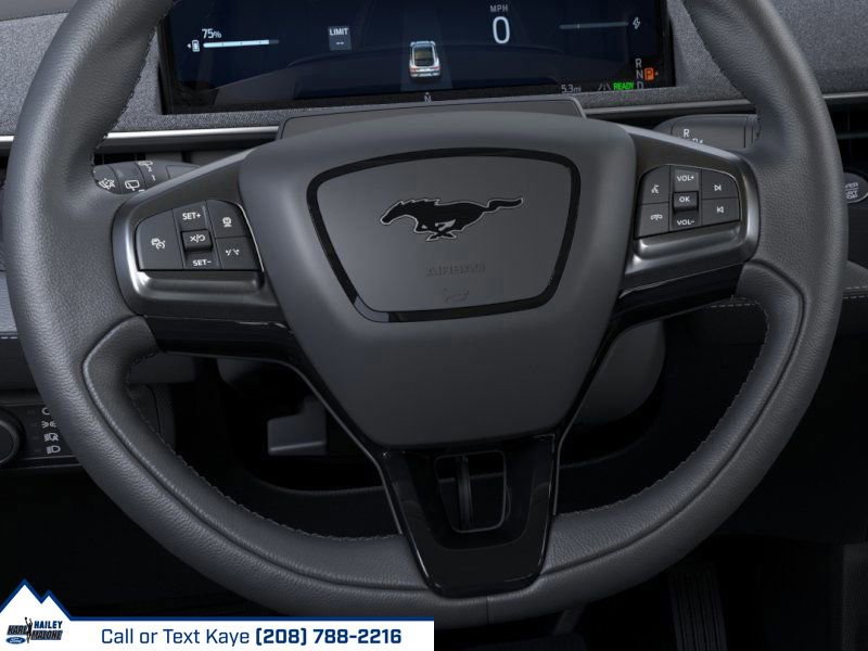 New 2025 Ford Mustang Mach-E Premium w/ Interior Protection Package image 40