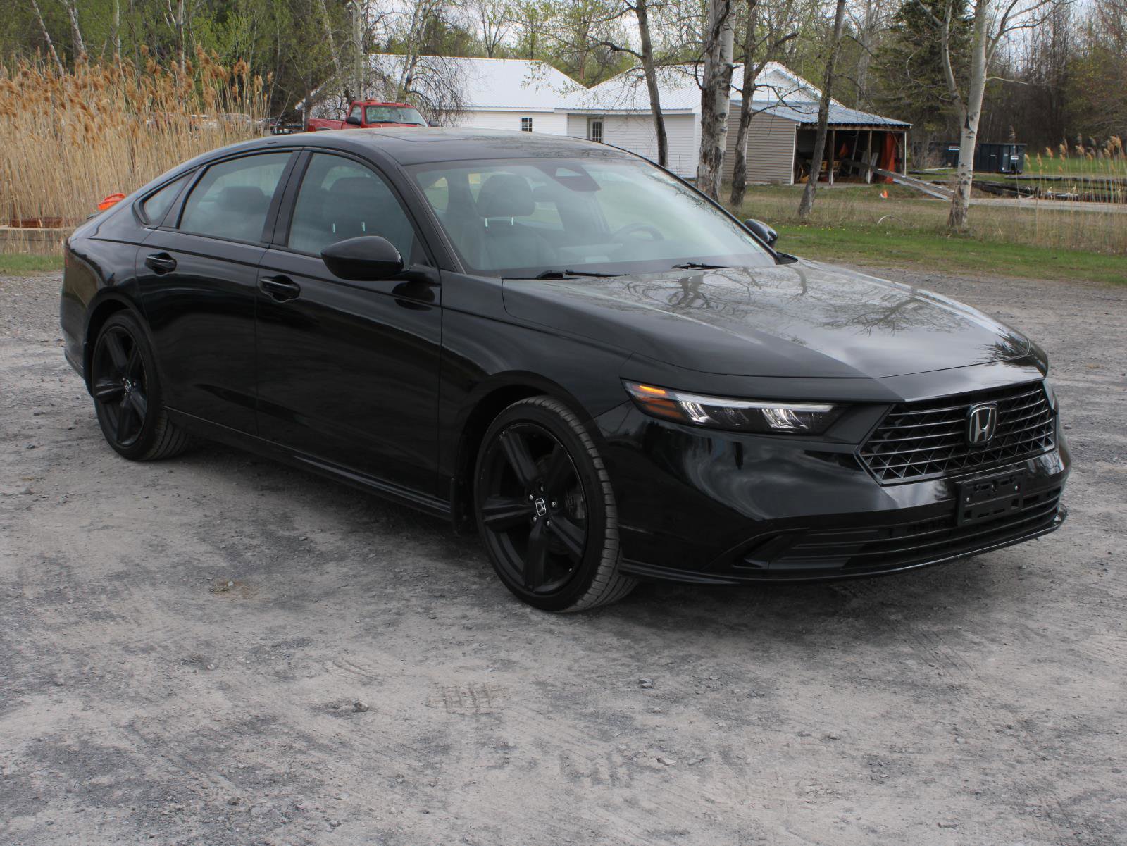 Used 2024 Honda Accord Sport image 3