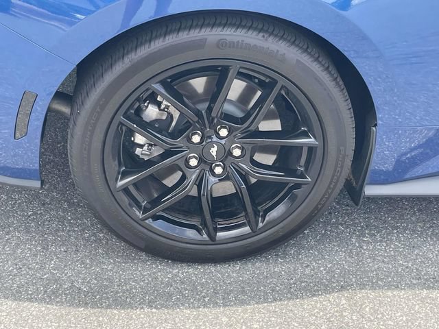 Used 2024 Ford Mustang GT Premium w/ Mustang Nite Pony Package RWD image 7