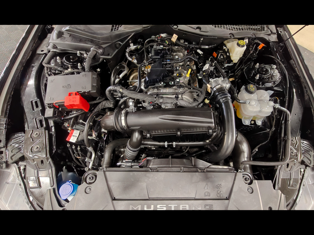 Used 2025 Ford Mustang Premium RWD image 68