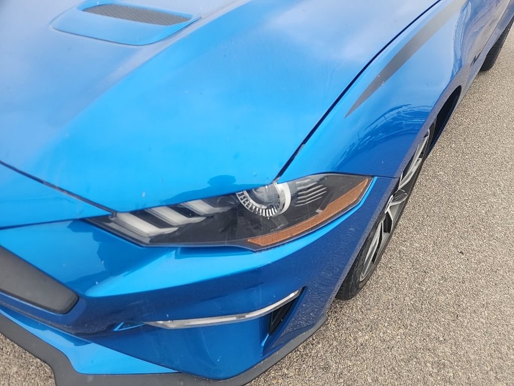 Used 2019 Ford Mustang Premium w/ Wheel & Stripe Package RWD image 6