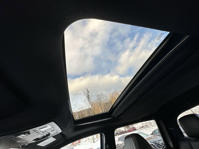 Certified 2021 Toyota Tacoma Limited w/ Blackout Package (TMS) image 17