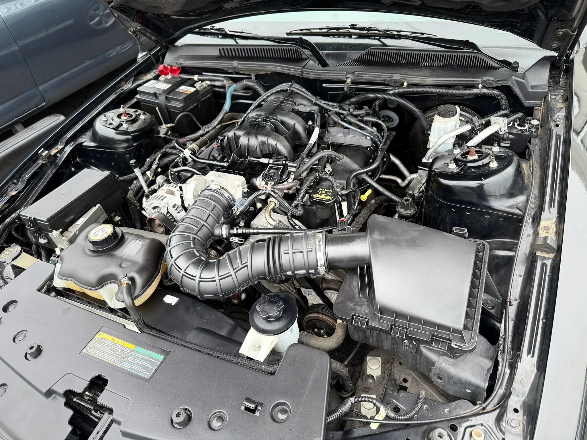 Used 2009 Ford Mustang Premium RWD image 34